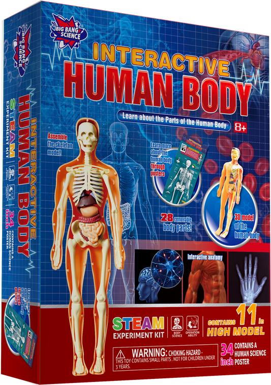 Human Anatomy Lab